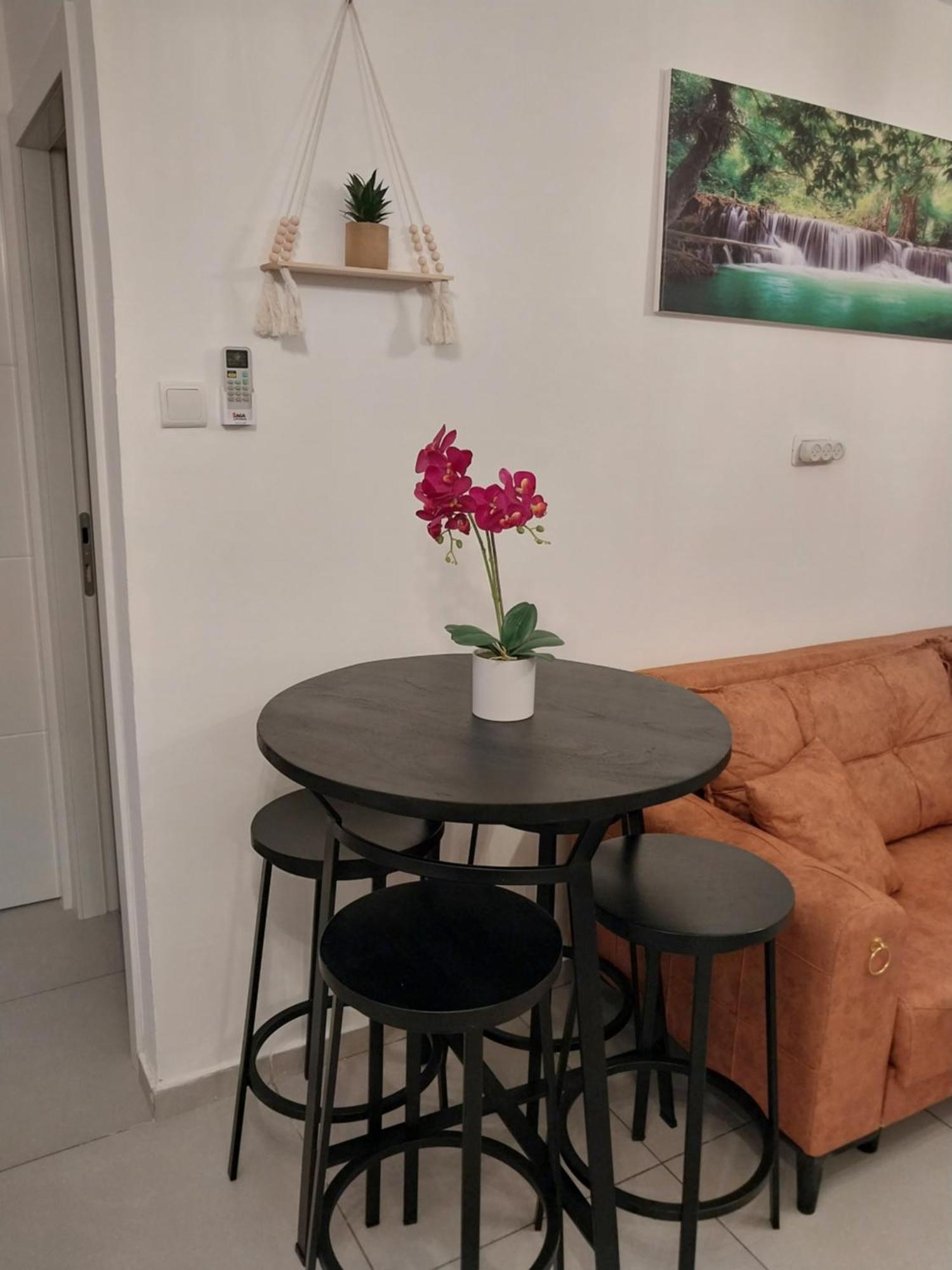 Apartment הטרקלין של שלמה. דירה יפה וחדשה 5 דקות נסיעה מהים Aschkelon